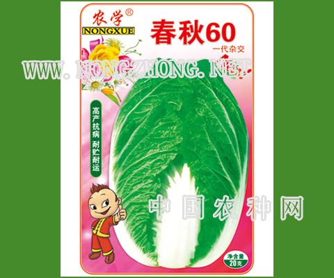 农学春秋60白菜种子